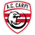 Carpi