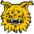 Ilves W